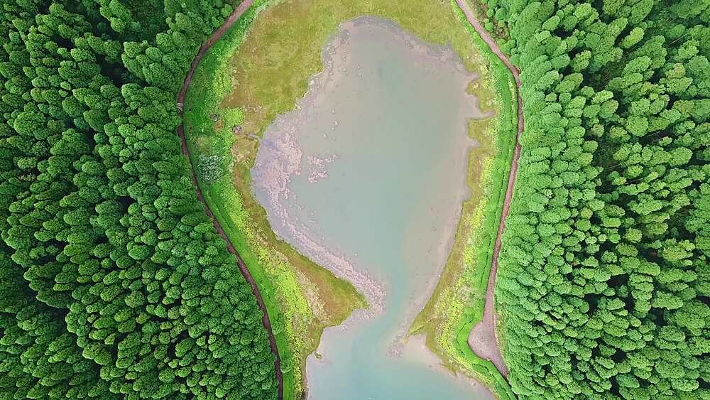 Cruising aerial over the wooded ridge between the Empadadas twin lakes, Sao Miguel, Azores, Portugal