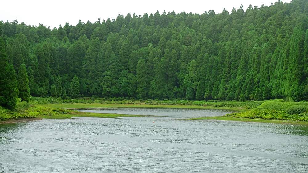 Cinematic reveal of Lagoa das Eguas ringed by Japanese cedar forest, title sequence opener, Sao Miguel, Azores