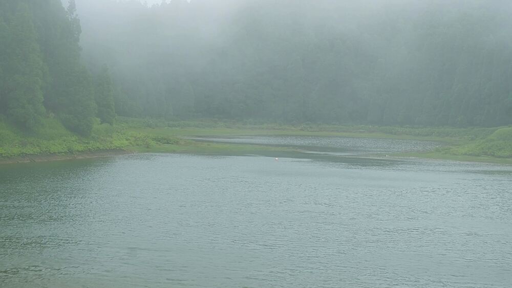Thick fog swallows Lagoa das Eguas, leaving only lake water and faint cedar silhouettes, Sao Miguel, Azores