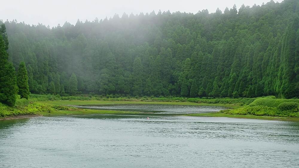 Mist rises from cedar forest around Lagoa das Eguas under a pale overcast sky, interior Sao Miguel, Azores