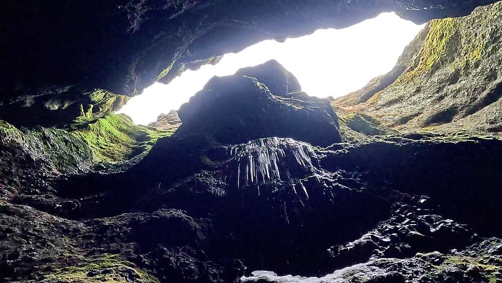Raudfeldsgja Gorge interior looking up narrow rock walls with water trickling over mossy overhang, Snaefellsnes
