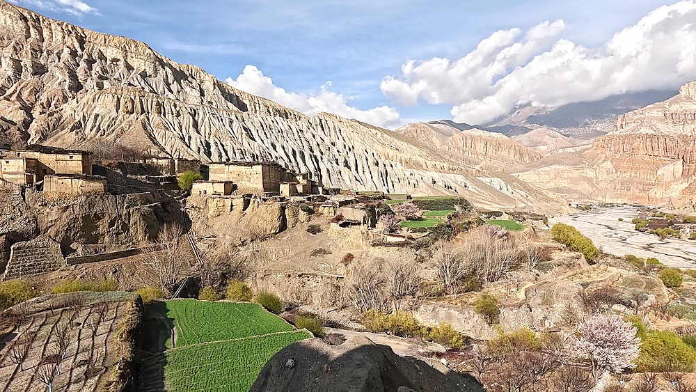 Panoramic view over lush green terraced fields of Tetang village. Towering mountaings, expanding canyon cliffs. Upper Mustang, Nepal.