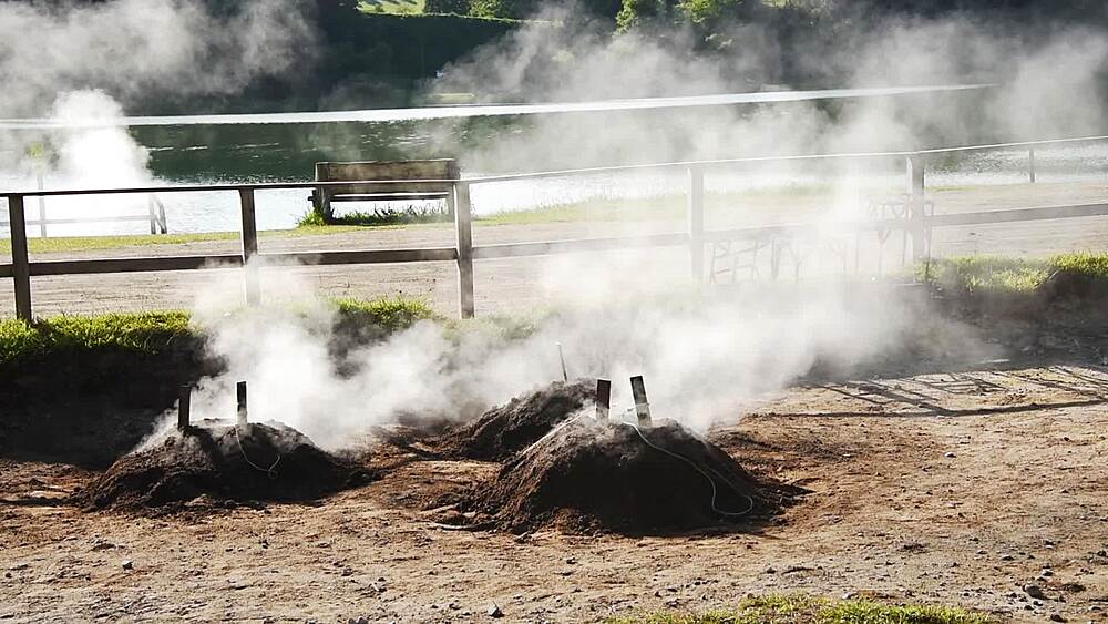 Steam drifting from cooking mounds on the shore of Lagoa das Furnas in morning light, Sao Miguel, Azores