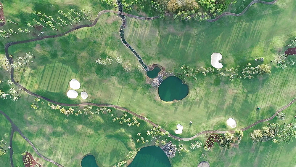 Abama golf course, Tenerife, Canary Islands, Spain, Atlantic, Europe