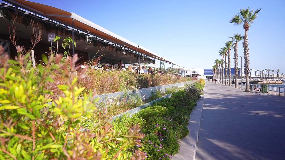 View of restaurants in Alicante Marina and Casino in background on a sunny day in Alicante, Alicante, Costa Blanca, Spain, Europe