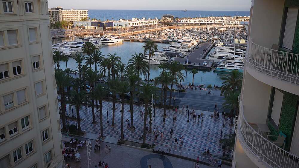 Elevated view of boats in Alicante Marina during golden hour on a sunny day, Alicante, Costa Blanca, Spain, Europe