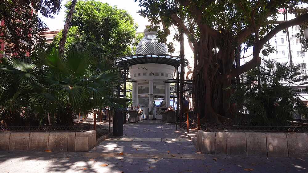 View of ornate cafe and bar among Ficus Macrophylla trees in Soho Parc Alicante on a sunny day in Alicante, Alicante, Costa Blanca, Spain, Europe