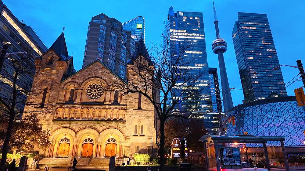 View of tulips, St. Andrew's Presbyterian Church, Roy Thomson Hall and CN Tower at dusk, Toronto, Ontario, Canada, North America