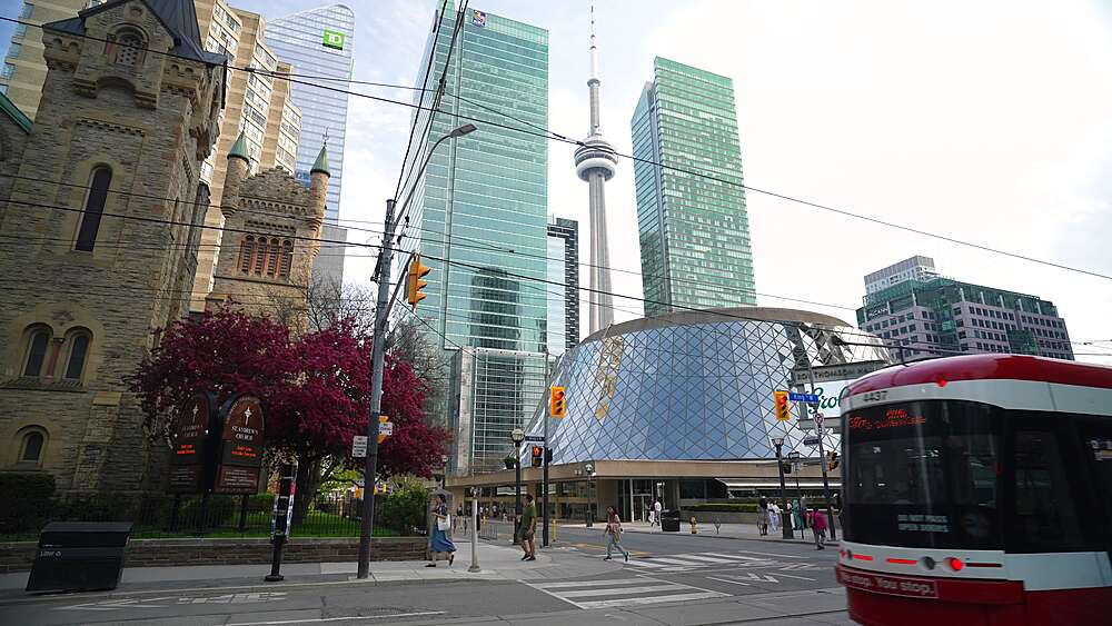 View of city tram, St. Andrew's Presbyterian Church, Roy Thomson Hall and CN Tower on a sunny day in spring, Toronto, Ontario, Canada, North America