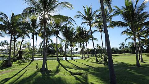 Golf Course on Puerto Vallarta Tepic, Puerto Vallarta, Mexico, North America 