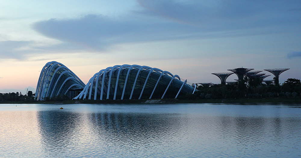 Gardens by the Bay at dawn, Singapore, Southeast Asia, Asia