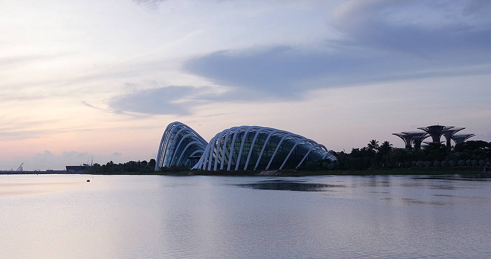 Gardens by the Bay at dawn, Singapore, Southeast Asia, Asia