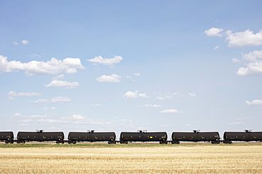 Oil train cars and fallow farmland, near Swift Current, Saskatchewan, Canada