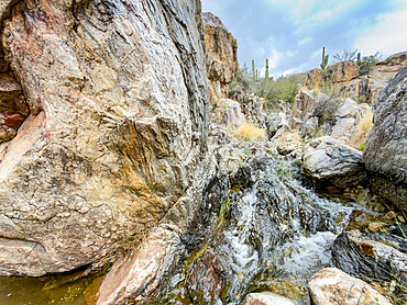 Seasonal creek in Catalina State Park, located at the base of the Santa Catalina Mountains, Oro Valley, Arizona, USA.