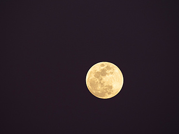 The full moon rising in the east over Whitewater Draw State Wildlife Area near McNeal in southeast Arizona, USA.