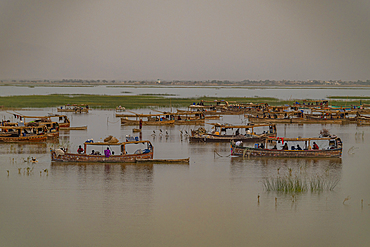 Houseboats of Mohana fisherfolk on Lake Manchar provide shelter and livelihood for local families during daily activities in Pakistan