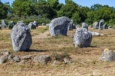 Historic stone formations in a grassy field under blue sky in France showcasing ancient structures