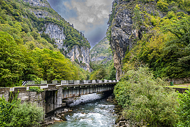 Lupshara River flows through Ritsa Relict National Park with a bridge spanning its banks in Abkhazia