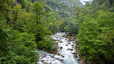 Lupshara river flows through a green valley surrounded by trees in Ritsa Relict National Park in Abkhazia, Russia during daytime