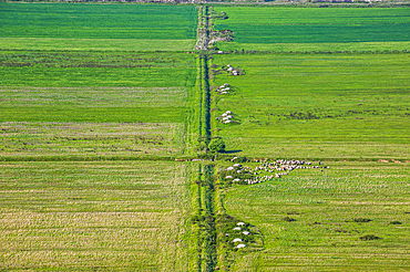 Bunker system on the Greek border, Albania,Balkan