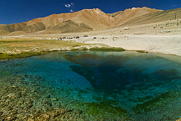 Turquoise spring Ak Balyk reflects clear waters in the Pamir mountains of Tajikistan