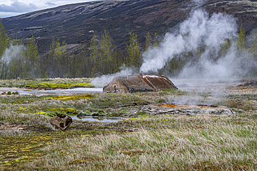 Strokkur geyser releases steam at Geysir geothermal area in Iceland during daylight