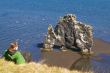 Famous Hvitserkur sea stack, Vatnsnes Peninsula, Iceland