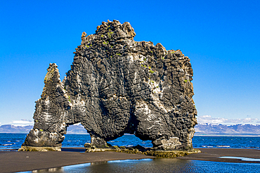 Famous Hvitserkur sea stack, Vatnsnes Peninsula, Iceland