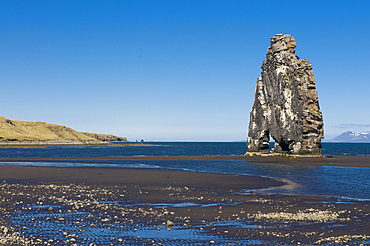 Famous Hvitserkur sea stack, Vatnsnes Peninsula, Iceland