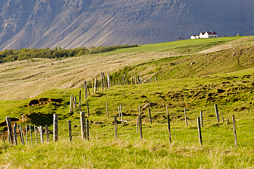 Landscape with mountains, Skagheidi, Iceland