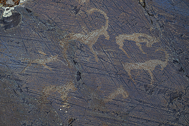 Unesco site Petroglyphic Complexes of the Mongolian Altai, Altai Mountain National Park, western Mongolia