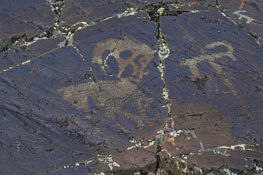 Unesco site Petroglyphic Complexes of the Mongolian Altai, Altai Mountain National Park, western Mongolia