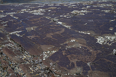 Unesco site Petroglyphic Complexes of the Mongolian Altai, Altai Mountain National Park, western Mongolia
