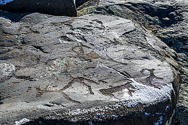 Unesco site Petroglyphic Complexes of the Mongolian Altai, Altai Mountain National Park, western Mongolia