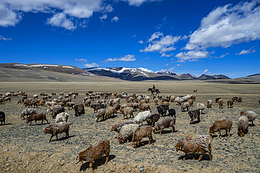 Altai Mountain National Park, Mongolia