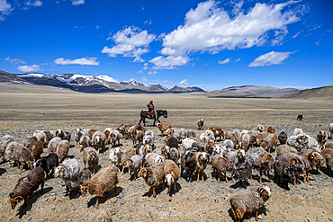 Altai Mountain National Park, Mongolia