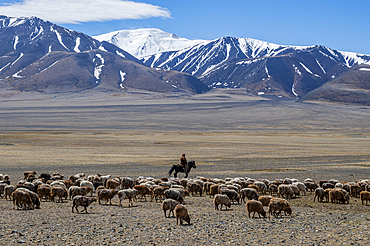Altai Mountain National Park, Mongolia