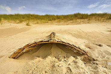Sand dune at Crow Point, on the shore of the Taw and Torridge estuary, near Barnstaple, Devon, Great Britain.