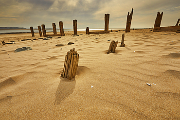 A disintegrating old groyne near Crow Point, on the shore of the Taw and Torridge estuary, near Barnstaple, Devon, Great Britain.