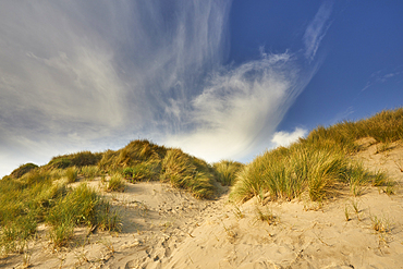 Sand dunes at Crow Point, on the shore of the Taw and Torridge estuary, near Barnstaple, Devon, Great Britain.