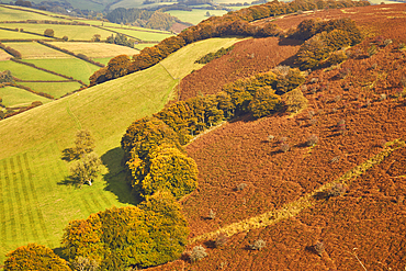 An autumn view down into the Punchbowl valley, seen from Winsford Hill, Exmoor National Park, Somerset, Great Britain.