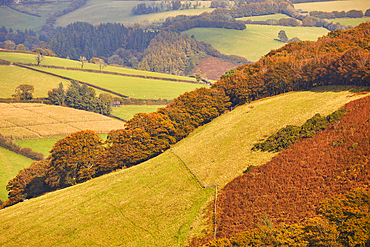 An autumn view down into the Punchbowl valley, seen from Winsford Hill, Exmoor National Park, Somerset, Great Britain.