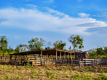 Farm at Ometepe Island at Lake Nicaragua, Rivas Department, Nicaragua