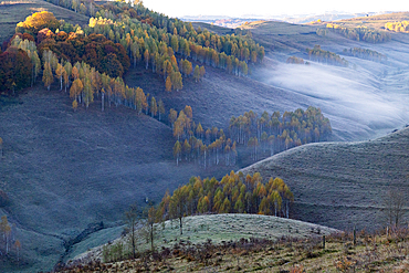 Explore vibrant autumn trees and rolling hills in Romania's countryside during the early morning light