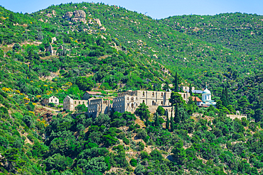 The stone ruins of the New Thebais (Gournoskete) monastic dependency on a lush green hillside of Mount Athos, Greece.