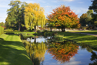 Colourful autumn foliage reflected along the tributary of the River Eden in Kent, England, with trees and still water