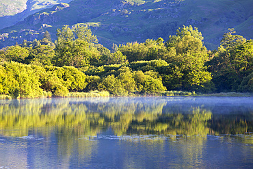 View across tranquil Elter Water, early morning, summer, mist hanging over mirror-like lake surface, Elterwater, Lake District National Park, Cumbria, England, UK