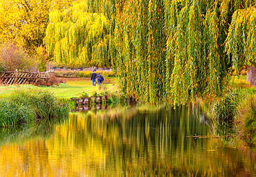 Reflections on a calm waterway with trees in autumn at Bushy Park in London