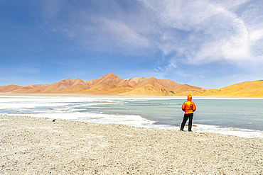 Hiker admiring salt flat lake at Cerro Galan caldera, Puna, Catamarca, Argentina