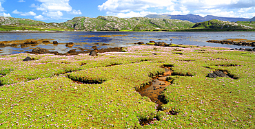 Sea Loch near Kylescu, Sutherland, Scotland